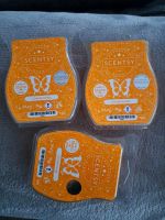 SCENTSY GIMME candy neu Rheinland-Pfalz - Zellertal Vorschau