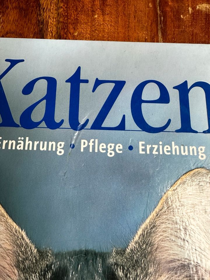 Sachbuch Ratgeber "Katzen" in Freiburg im Breisgau