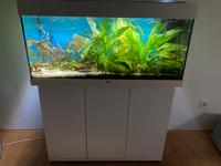 JUWEL 180 LED - TOP komplett mit Unterschrank und Zubehör Nordrhein-Westfalen - Dinslaken Vorschau