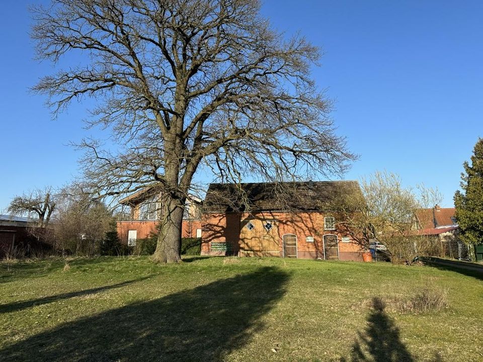 Gehöft mit historischer Scheune, individuellem Holzhaus & 20.113 m² Grundstück in idyllischer Lage mit vielen Nutzungsmöglichkeiten in Wittstock/Dosse