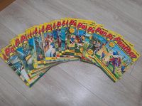 Die blauen Panther, Pfadfinder  Comics, Nr 1 bis 22 komplett Saarland - Kleinblittersdorf Vorschau