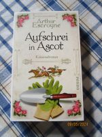 Arthur Escroyne Aufschrei in Ascot Taschenbuch Sachsen-Anhalt - Zerbst (Anhalt) Vorschau