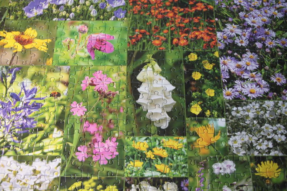 2x 1000 Teile Puzzle Birds/ Flowers of Norway Je 12 € in Cölbe