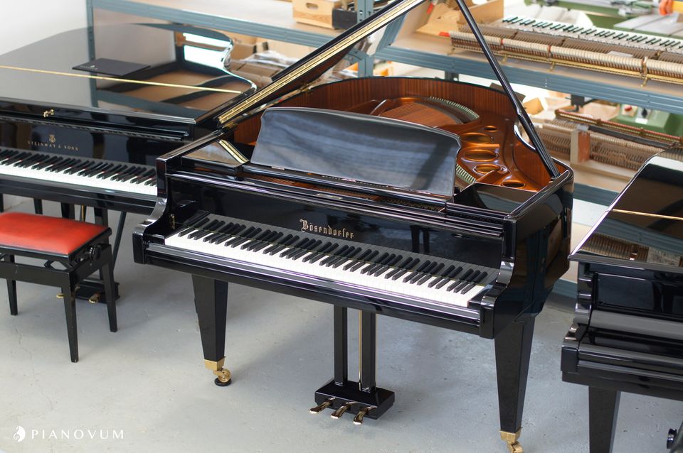 BÖSENDORFER 170 Flügel Bj. 1977 in Wuppertal