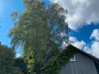 Baumfällung,Problembaumfällung,Sturmschaden,Baufeldräumung Bayern - Bad Kissingen Vorschau