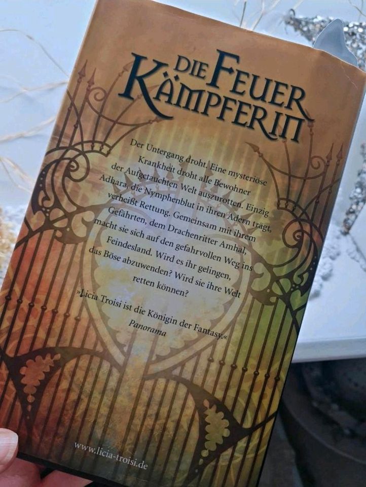 Fantasy Buch Die Feuer Kämpferin Teil 1 in Elzach