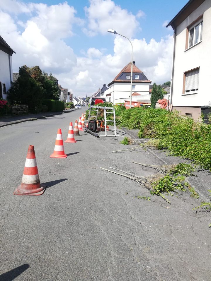 Landschaftspflege und Forstbetrieb in Fröndenberg (Ruhr)