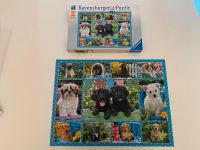 Ravensburger Puzzle 500 Teile Putzige Hündchen / TOP Schleswig-Holstein - Barsbüttel Vorschau
