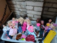 Barbie Family und Zubehör Brandenburg - Lauchhammer Vorschau