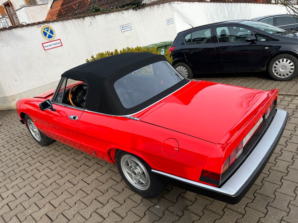 Alfa Spider 2000 S3 in Pfaffenhofen a.d. Ilm