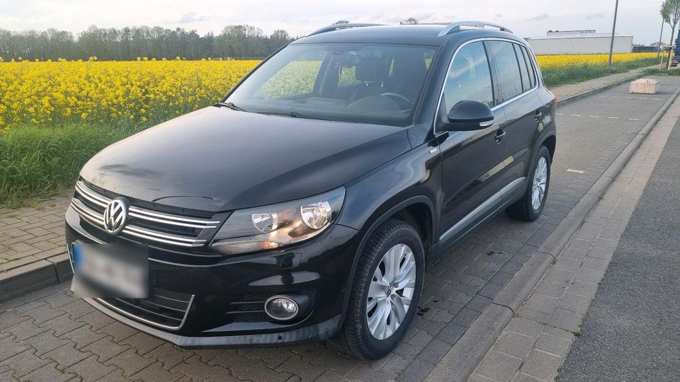 Vw Tiguan Life AWD in Alfhausen