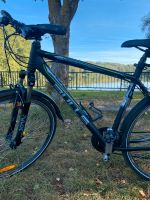 Bulls Crossbike Fahrrad MTB 29 Zoll Baden-Württemberg - Bretten Vorschau