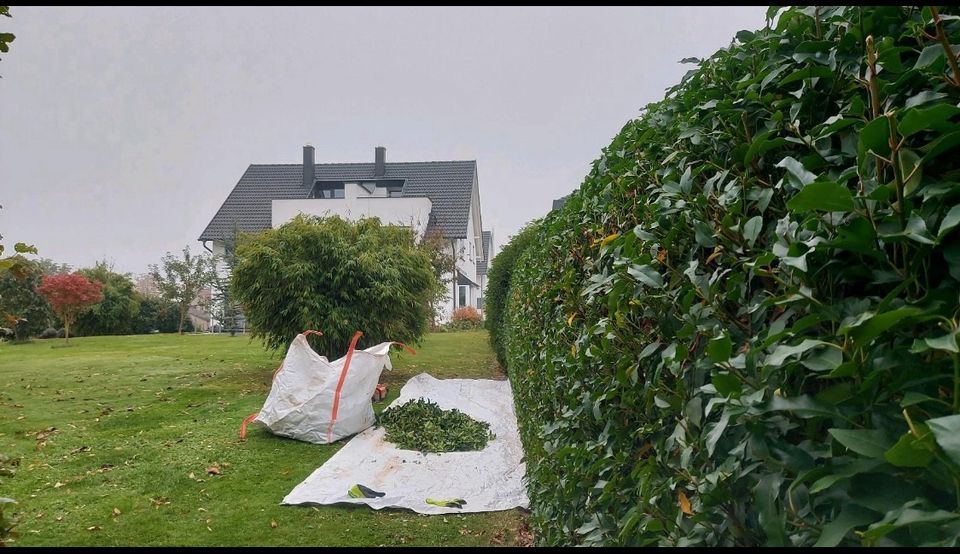 Gärtner Gartenpflege Hausmeister Gartenservice  Hausservice in Ostseebad Wustrow