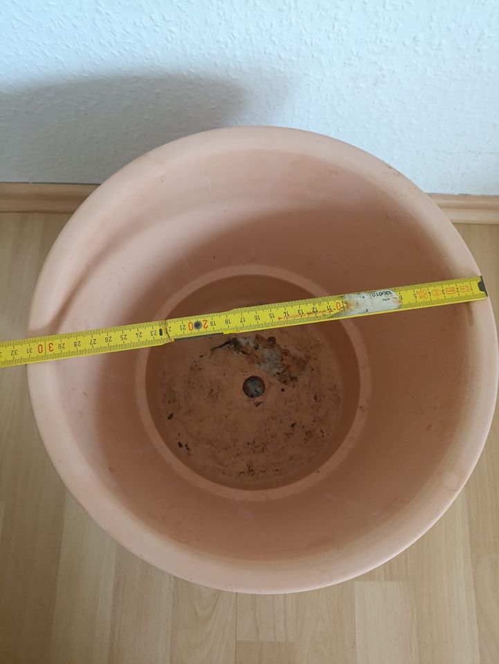 Blumentopf übertopf groß Terrakotta Ikea in Bornheim