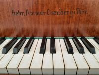 SUCHE Instrumente Gebrüder Ammer Spinettino Clavichord Klavichord Sachsen - Werdau Vorschau