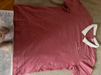 lacoste damen shirt Dresden - Innere Altstadt Vorschau
