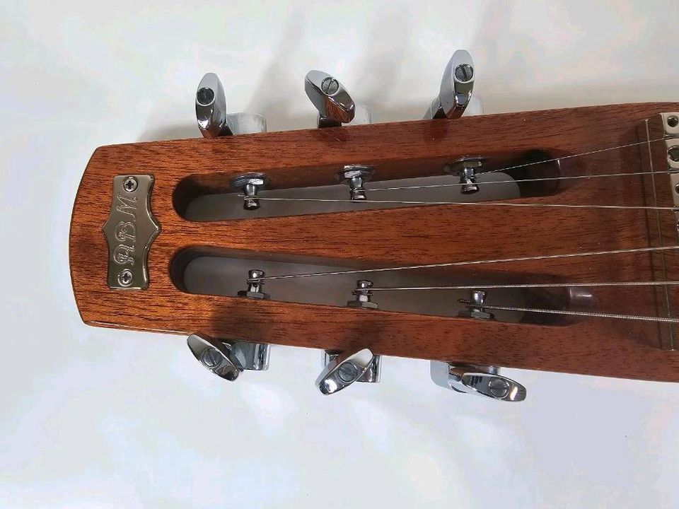 ABM Sentinel Lap Steel E-Gitarre inkl. Tasche in München