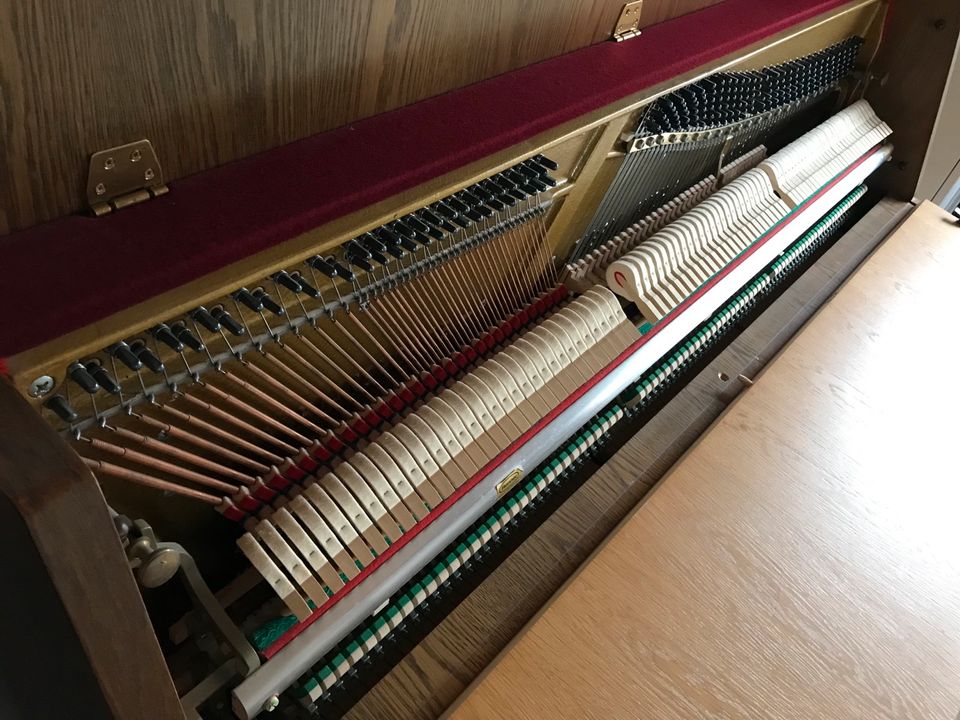Klavier Nussbaum Marke May - toller Klang! in Westoverledingen