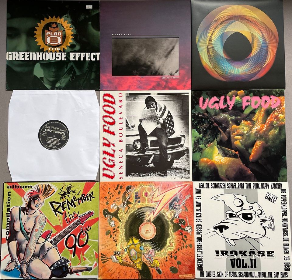 33 LP 12" 10" Punk,Alternative,Emo,Hard Core,Rock Vinyl Sammlung in Lebach