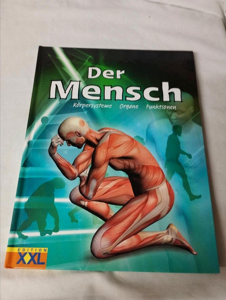 Der Mensch, Körpersysteme Organe Funktion, Kinderbuch in Ellingen