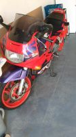 Honda CBR 600 Hessen - Neuhof Vorschau