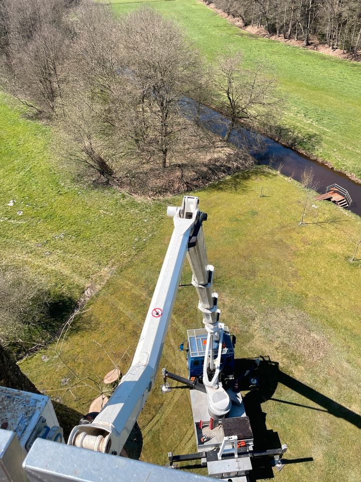 Baumpflege Baumfällung mit Hubarbeitsbühne/ Hebebühne 30 Meter in Hermannsburg