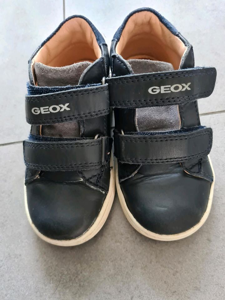 Geox Schuhe Gr. 24 in Moers