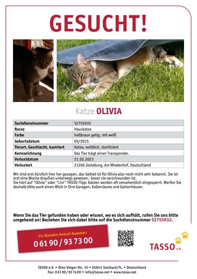 Katze Olivia vermisst in Jesteburg