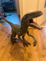 Jurassic Park Velociraptor Blue, riesig Bonn - Bad Godesberg Vorschau