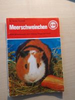 Buch Heft Meerschweinchen Bayern - Gröbenzell Vorschau