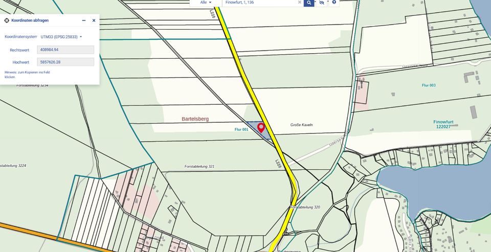 Waldfläche bei Finowfurt, Landkreis Barnim im Land Brandenburg in