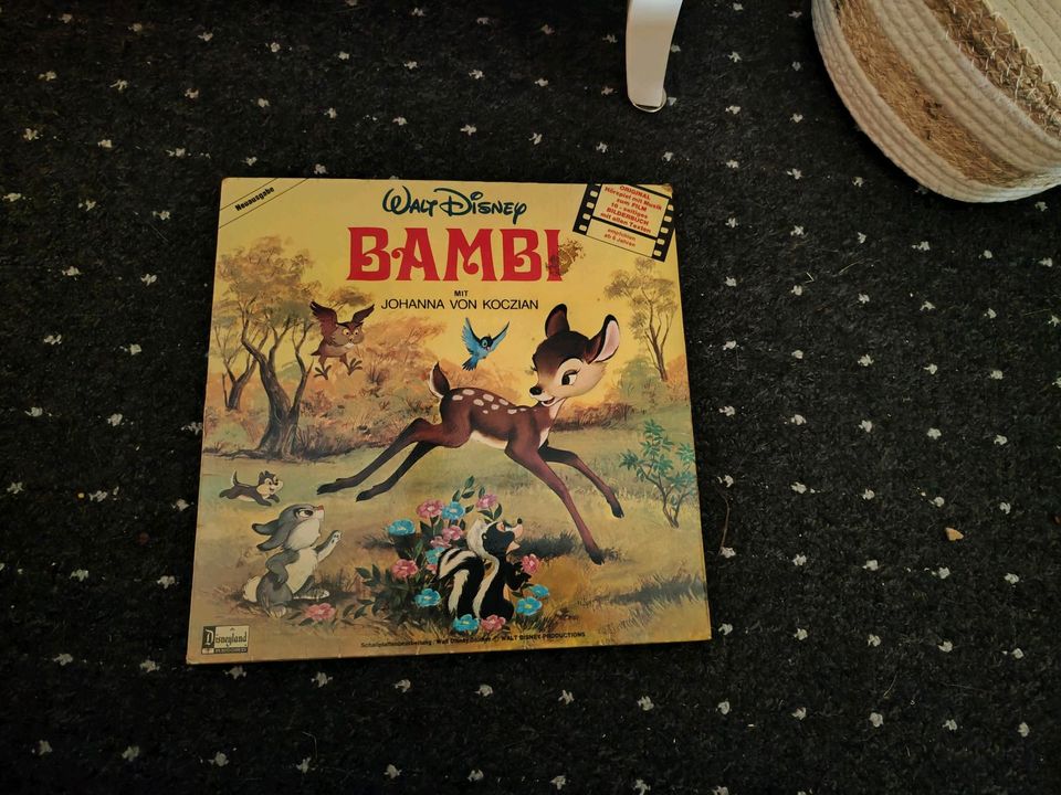 Langspielplatten Walt Disney in Lindewitt