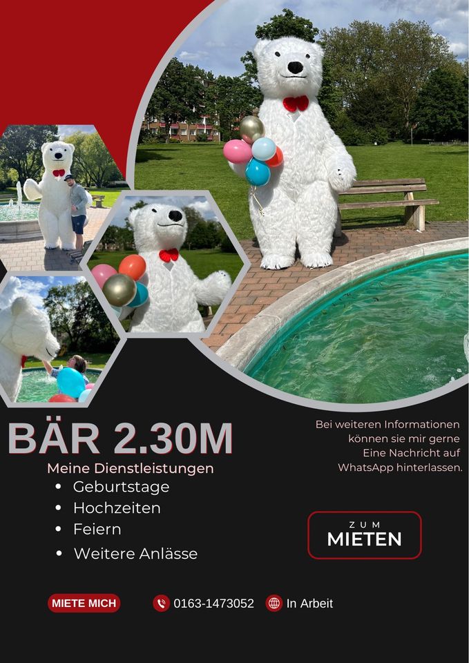 Bär Weiß 2.30m in Essen
