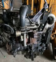 F9Q 808 1.9 dCi Motor Renault Megane II 2 68kW 92PS 15509 PL50 Sachsen-Anhalt - Coswig (Anhalt) Vorschau