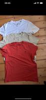 Camp David Tshirt Set (3) Münster (Westfalen) - Centrum Vorschau