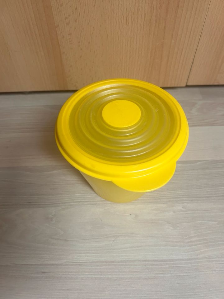 Tupperware Bungee mit Deckel 800ml in Kissing