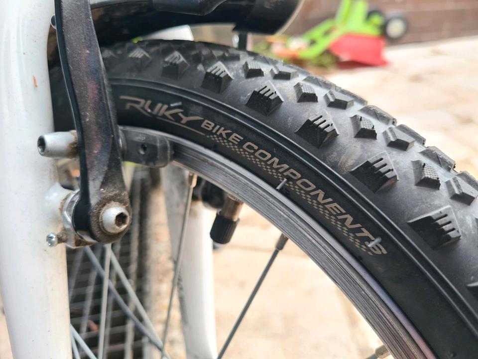 Puky Cyke 18 Zoll Kinderfahrrad 3-Gang Nabenschaltung grün in Hochheim am Main