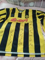 Trikot BVB Sammler mit Unterschriften Brandenburg - Potsdam Vorschau