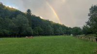 Stellplatz/Weideplatz Offenstall für Pferd oder Pony Hessen - Schöffengrund Vorschau