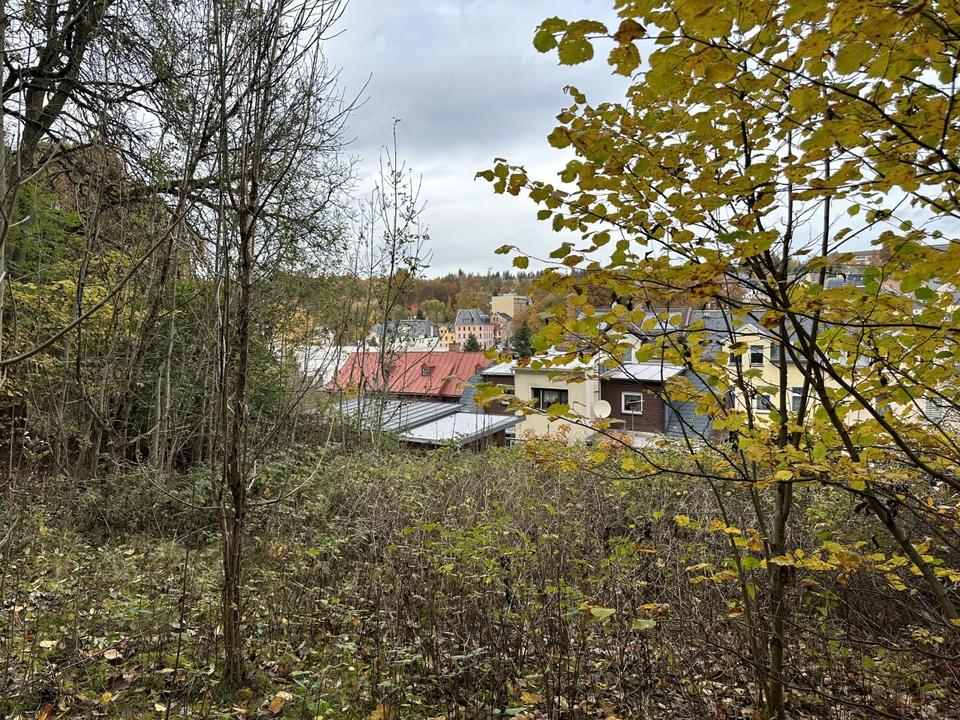 Einfamilienhaus mit Einliegerwohnung! in Markneukirchen