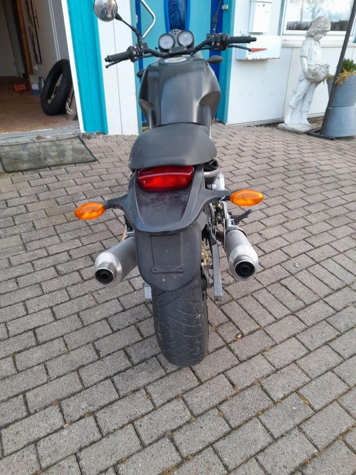 Ducati Monster 600 Lieferung ist möglich in Nieheim