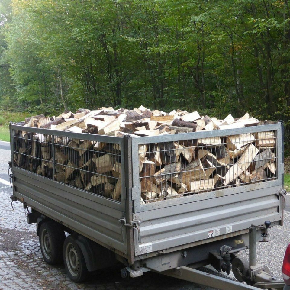 Brennholz Kaminholz Feuerholz in Königstein im Taunus