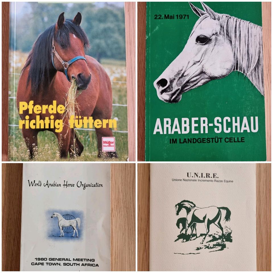 Diverse Pferdebücher | Bücher über Pferde in Wiesloch