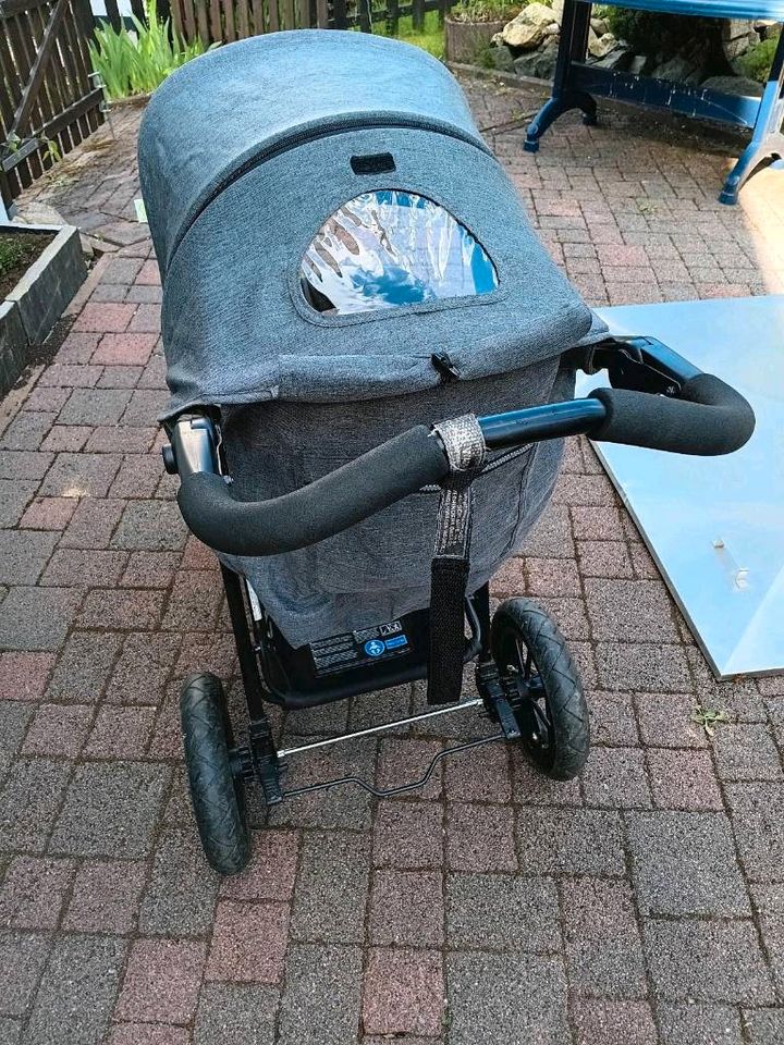 Geländegängiger >>Dreirad- Kinderwagen in Winterberg