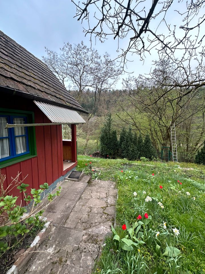 Garten in Birkenfeld in Pforzheim