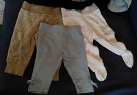 3 Hosen Baby Gr. 62 - H&M KlitzeKlein - zusammen 3€ Niedersachsen - Dransfeld Vorschau