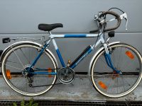 Euroteam Rennrad 24“ Vintage Baden-Württemberg - Schramberg Vorschau