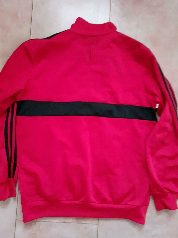 Adidas Jacke in Zeitz