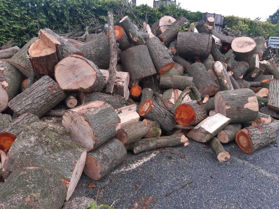 Brennholz Feuerholz Kaminholz in Stralendorf