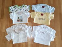 Bodys Babybodys 8 Stk. Kurzarm Gr. 68 (→74) Thüringen - Saalfeld (Saale) Vorschau